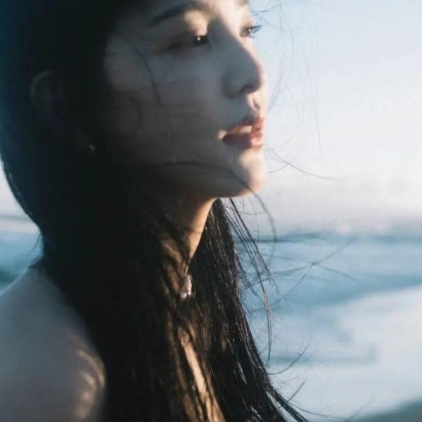 枝头凤