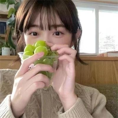 我的老婆是只猫